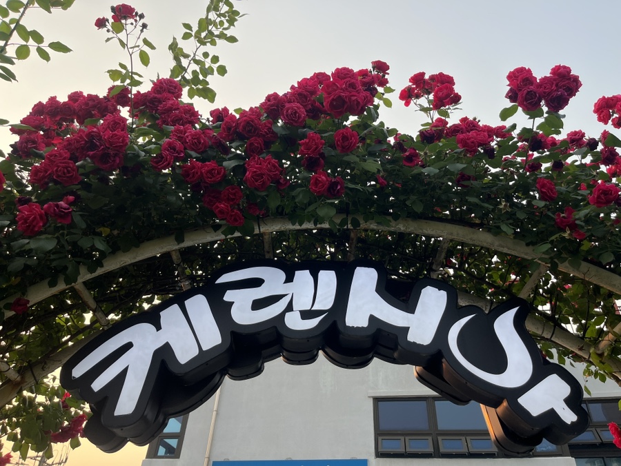 케렌시아 사진 2