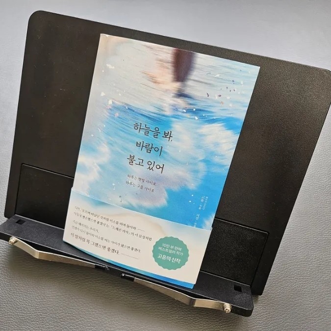  '하늘을 봐, 바람이 불고 있어' 독후감 - 자기계발, 은폐된 자기책임론