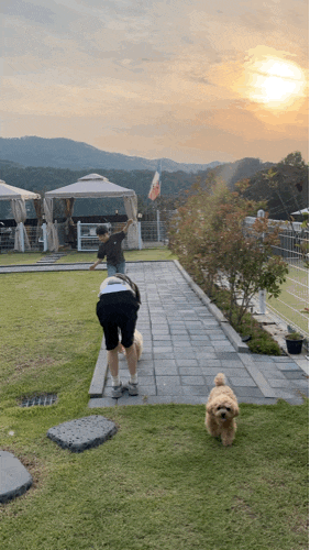  양평 애견동반식당 바베큐레이브 서울근교 가볼만한 곳