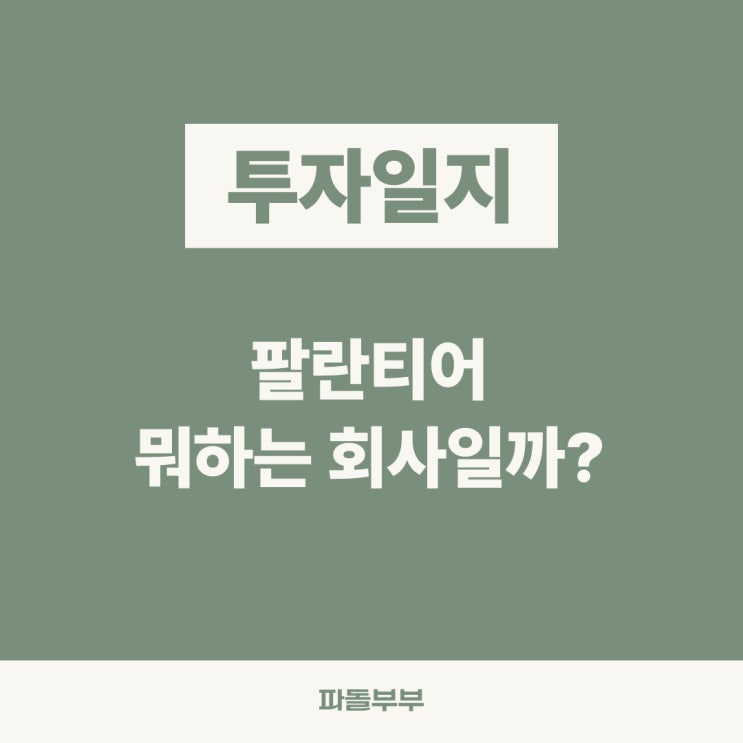  팔란티어 주식 PLTR 테크놀로지 뭐하는 회사일까 하는일 전망 주가