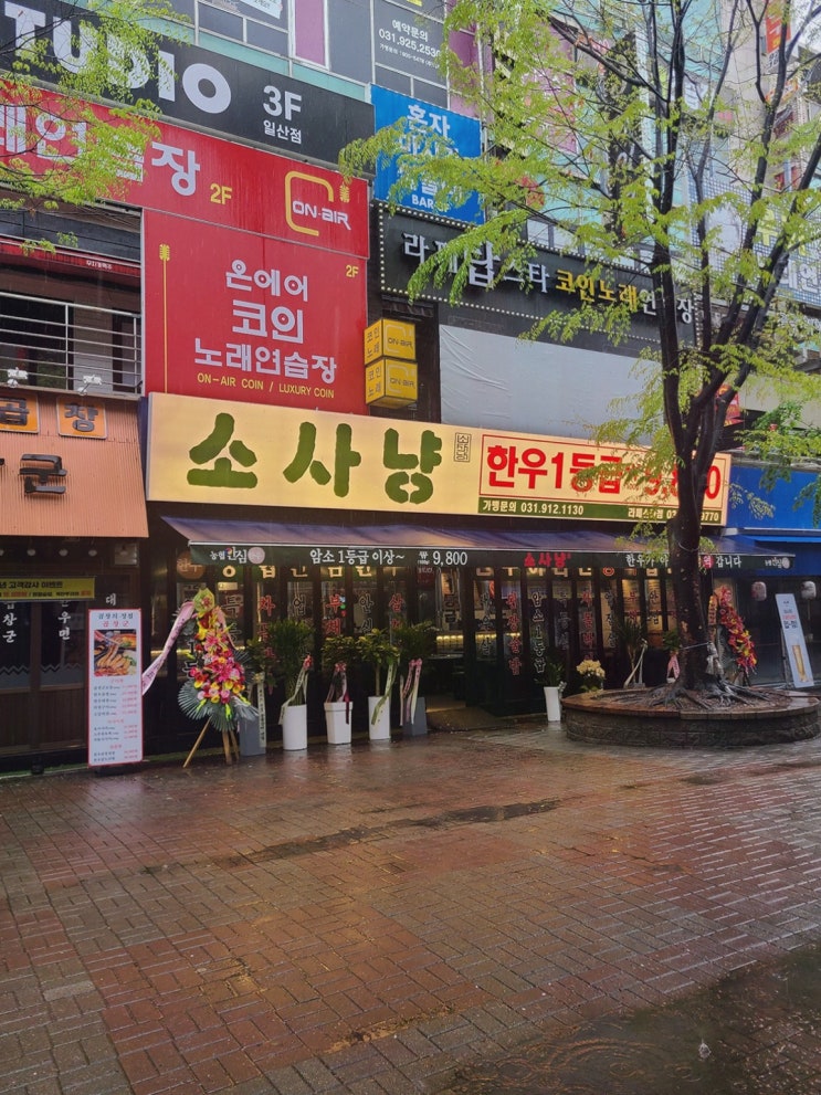  일산 한우와 함께하는 특별한 저녁, 소사냥 본점에서의 만찬