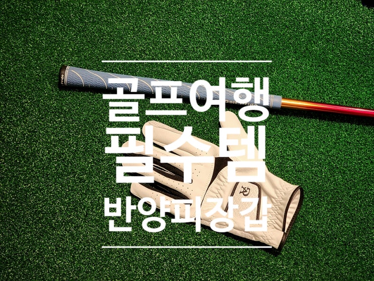  그립감 좋은 골프 여행 준비물 발그린 반양피 골프장갑