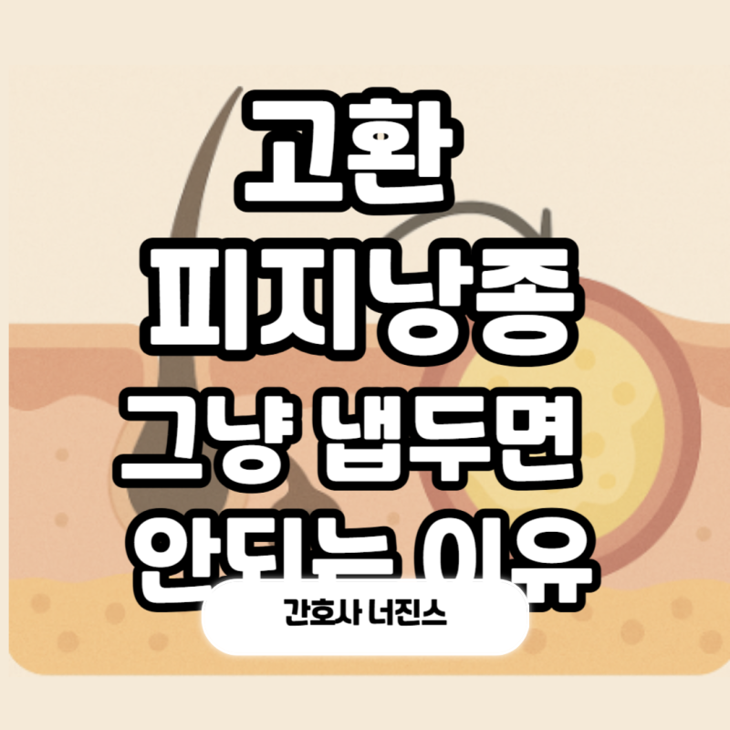 고환 피지낭종 고환암 증상 구별법부터 원인 치료 간호사 총정리