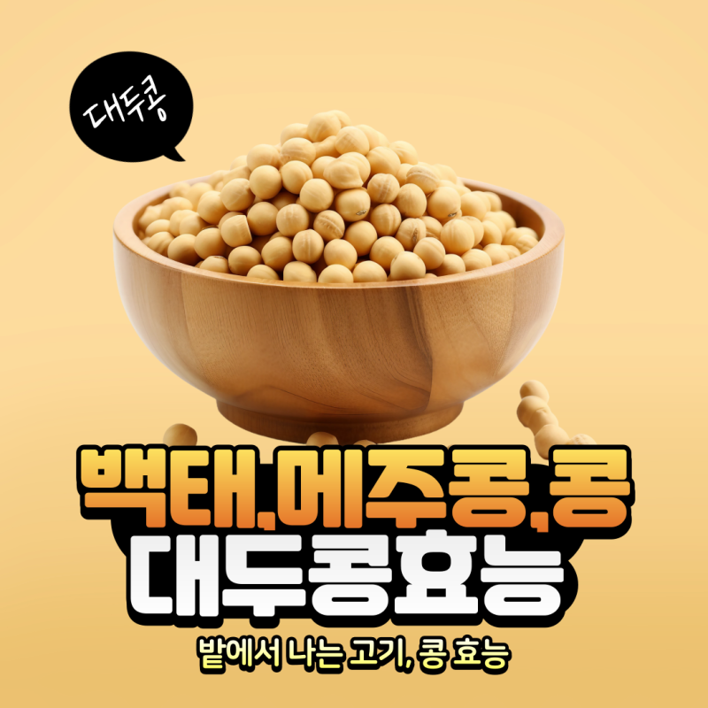 대두콩 단백질 풍부한 메주콩효능 백태 콩효능