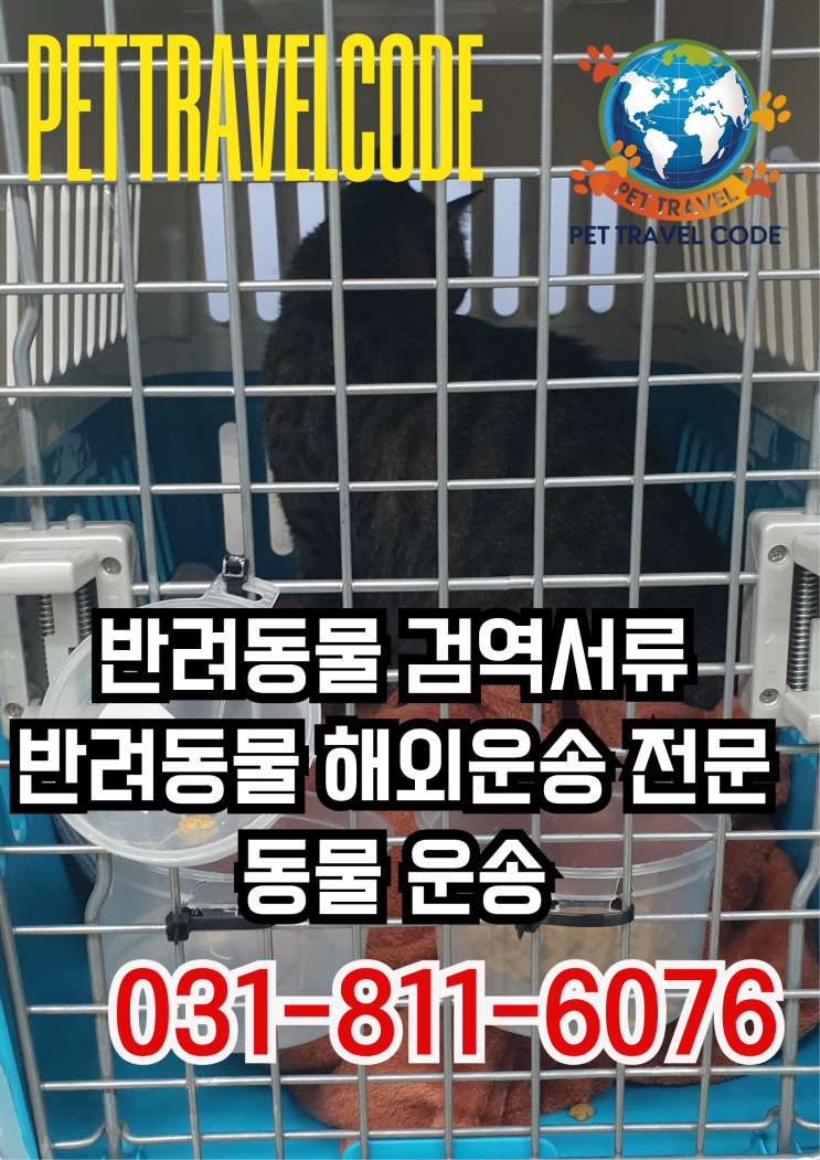  반려동물 강아지 고양이 해외운송 애견출국 강아지 고양이 검역증명서 재입국 반송 재발급 전문 서비스