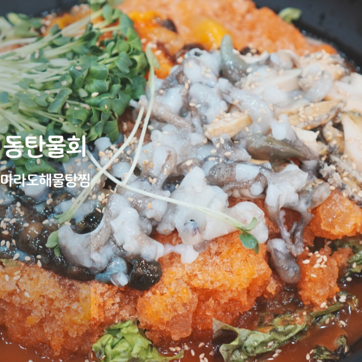  동탄 맛집 물회 만들기 마라도해물탕해물찜 물회 만드는법
