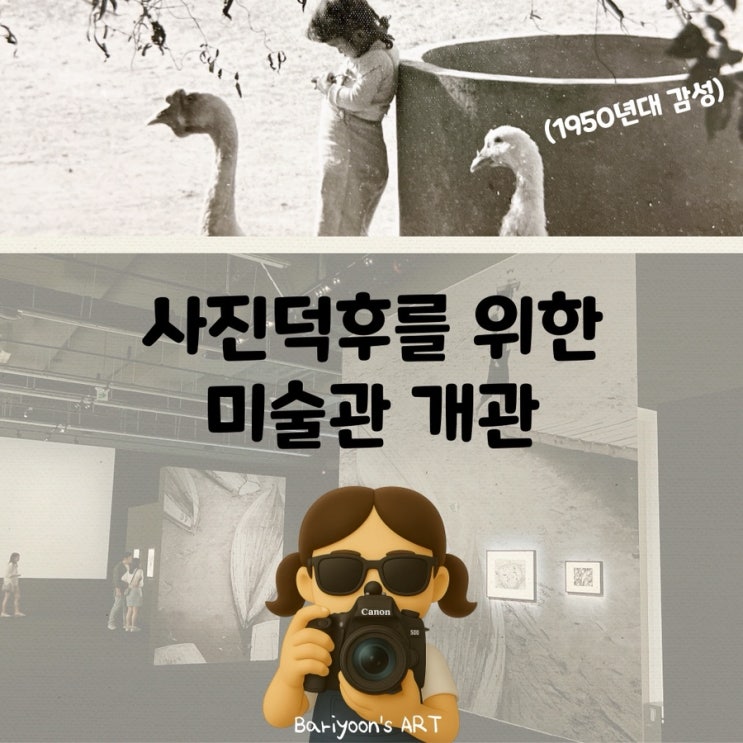  도봉구 창동 사진미술관 개관 정보 후기