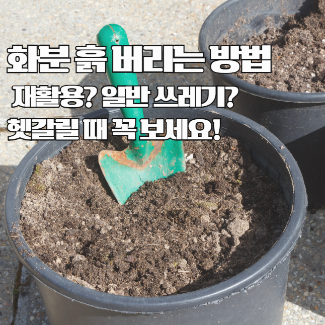  화분 흙버리기 흙버리는 방법