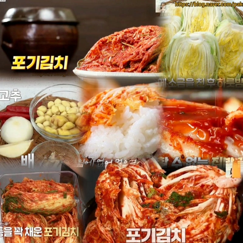알토란542회 포기김치 담그는법 김혜연 배추김치 담그기 레시피