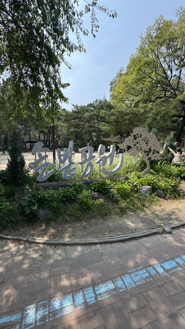  소나무 솔 향이 물씬 나는 아이들과 주말 가볼만한 곳 솔밭근린공원 나들이!