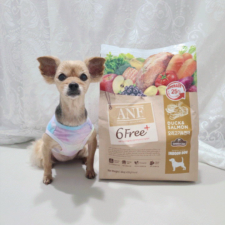  강아지 사료 브랜드 등급 안전한 기호성 좋은 사료 ANF 6Free+