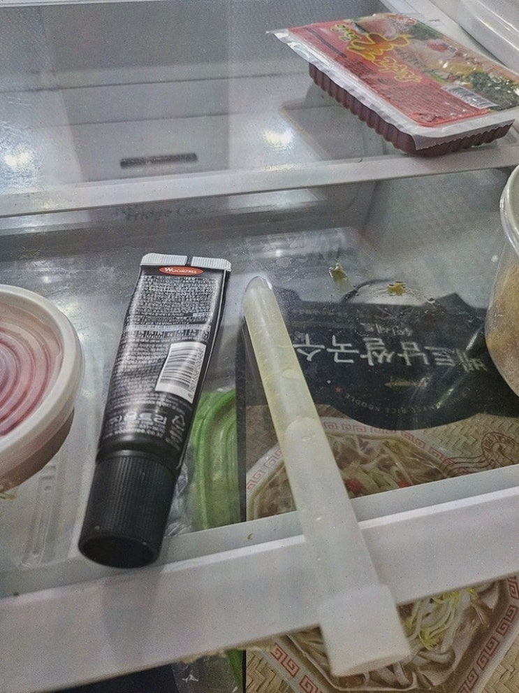  [주방용품 리뷰] 냉장고의 신선도 지키는 팜이톡 살균스틱, 효과를 직접 확인해보세요!