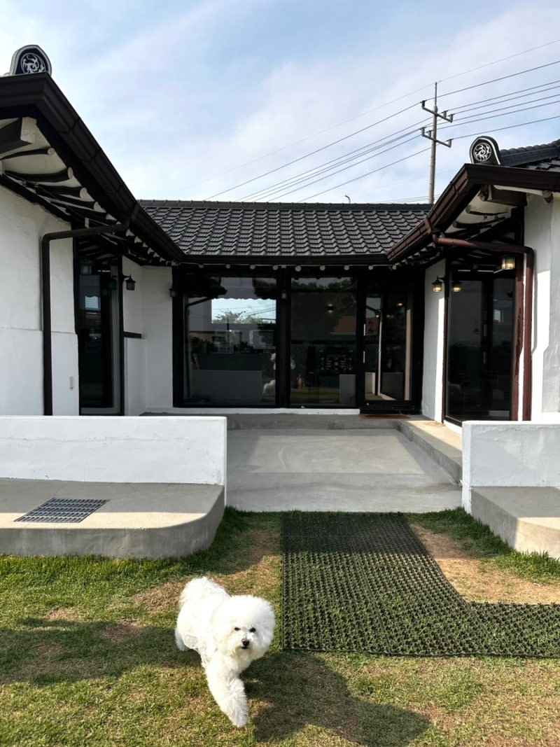 사진 4