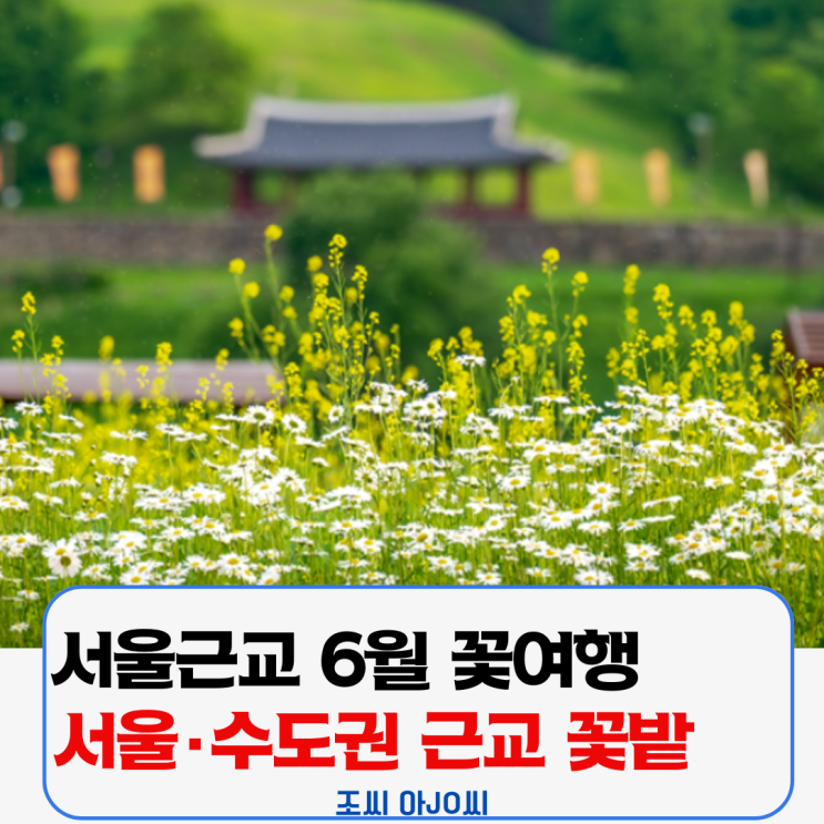  [서울근교 6월 꽃여행] 아직 안늦었다! 초여름 감성 꽃 명소 총정리 (주차, 대중교통, 방문팁)