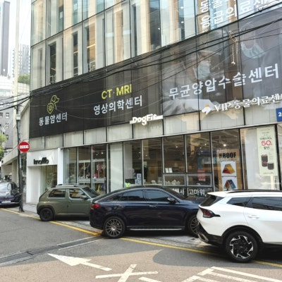 사진 2