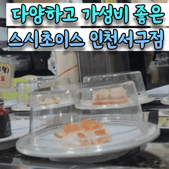  루원시티 회전초밥 돌고돌아 내 입으로 들어오는 신선한 바다의 맛 [스시초이스 인천서구점]