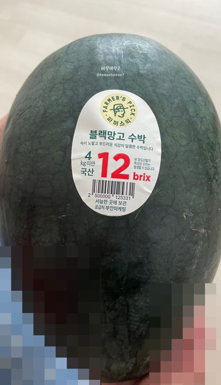  이마트 ' 파마스픽 블랙망고수박 ' 4kg 미만 브릭스12 내돈내산 솔직후기 ( feat. 이마트 수박 직접 보고 구매하지 않아도 괜찮을까요? 이마트 수박 달아요? )