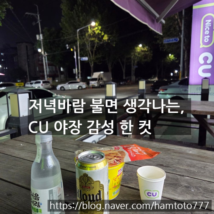  [부천 편의점 야장맛집] CU 부천중앙점에서의 저녁 한 잔, 편맥은 진리지