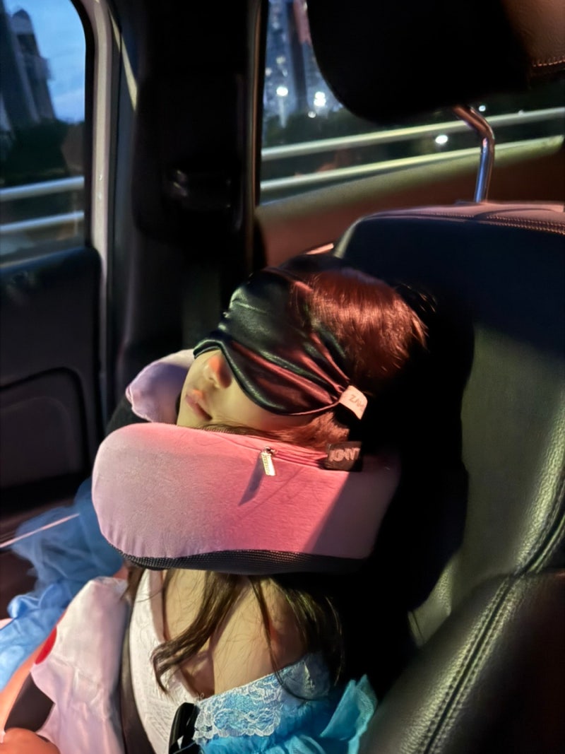 다이소 목베개 비교 : 기내용 목베개 추천