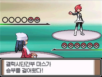  [공략]포켓몬스터 플래티넘 5 - 205번도로, 골짜기발전소, 꽃향기의꽃밭, 영원의숲 -