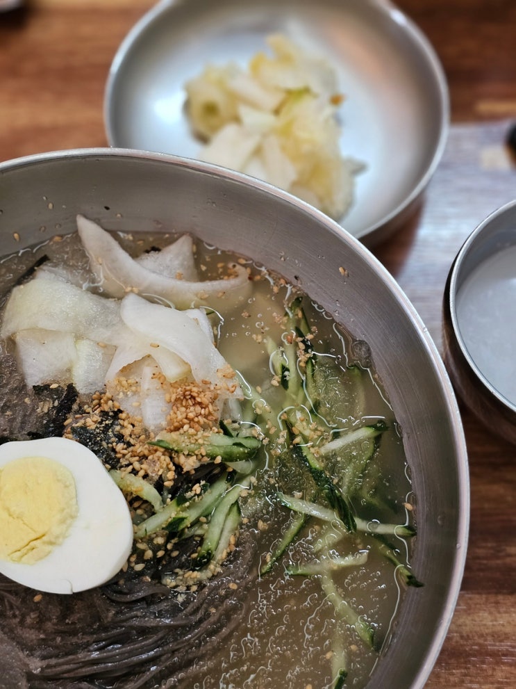 (경북 경주) 기와메밀막국수 물막국수 여기가 찐경주맛집 추천❤️