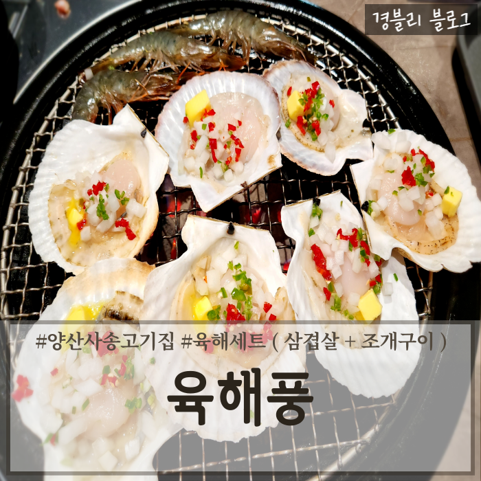  양산 사송고기집 사송 돼지고기 조개구이맛집 사송가족외식추천 '육해풍'