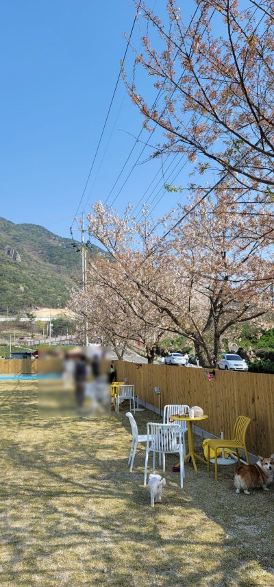 사진 2