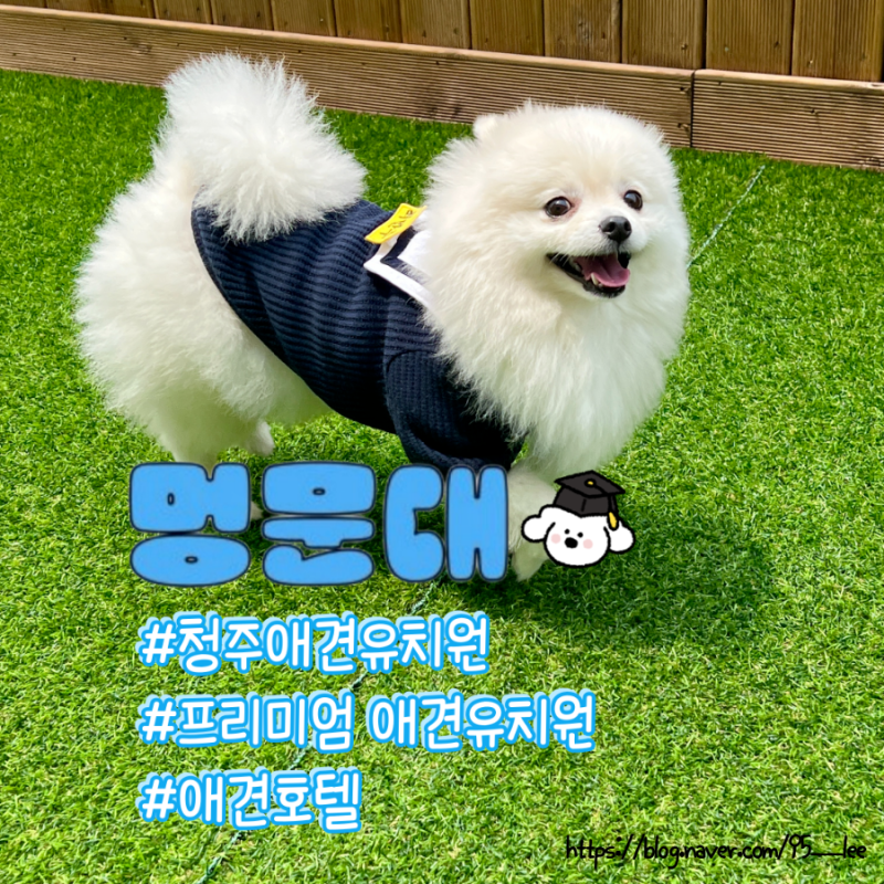 사진 10