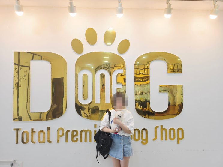  세종시 강아지분양 전문 원독 , 11년 전통 믿고 보는 애견분양 전문 센터 미니비숑 분양 후기