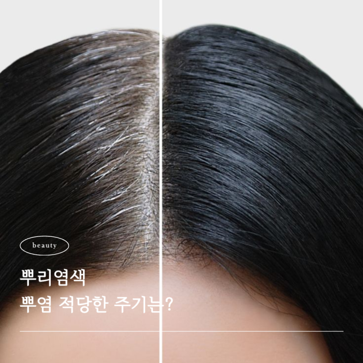  뿌염 주기 뿌리염색 시기 간격 적당한 주기는?