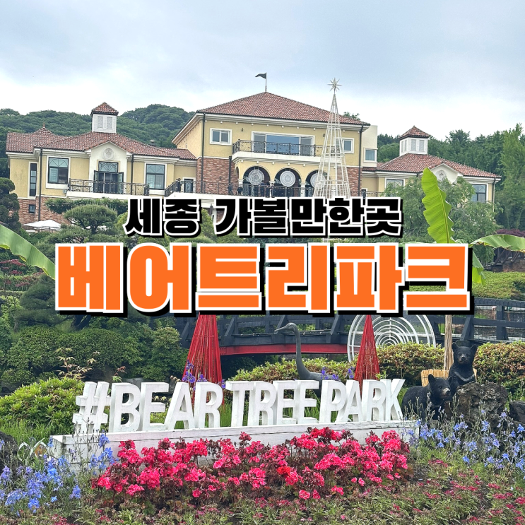 세종장미축제 베어트리파크 로맨틱 로즈가든파티 세종가볼만한곳