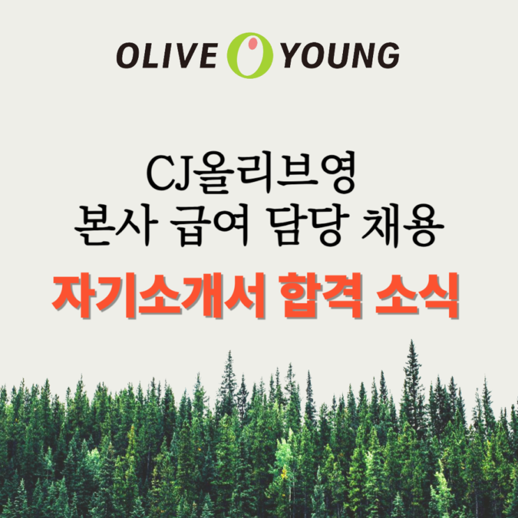 [합격소식_133] CJ올리브영 본사 급여담당 채용 자기소개서 합격소식