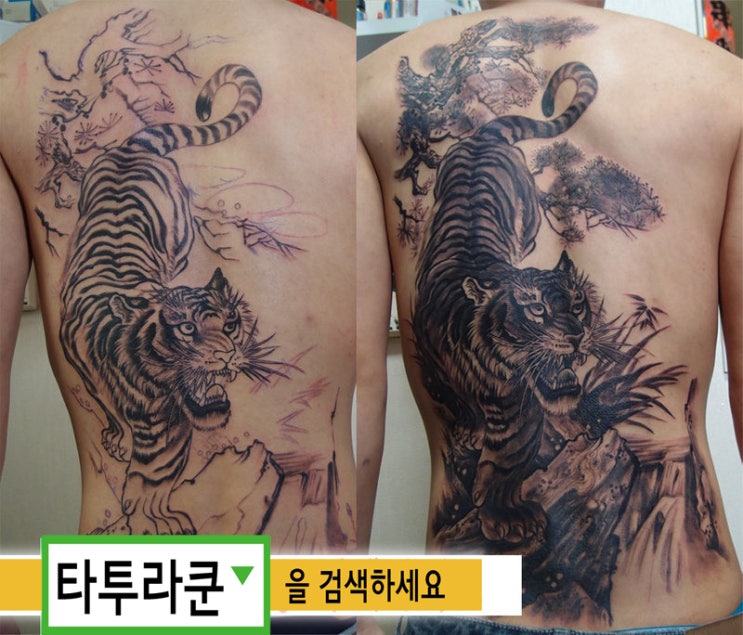  (지난 이벤트 타투인증) 수묵화 등판 호랑이문신-타투라쿤이 작업한 소나무와 호랑이입니다.-2013. 4. 17. 20:26