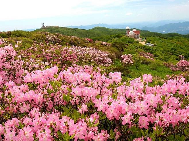 윗골 사진 2