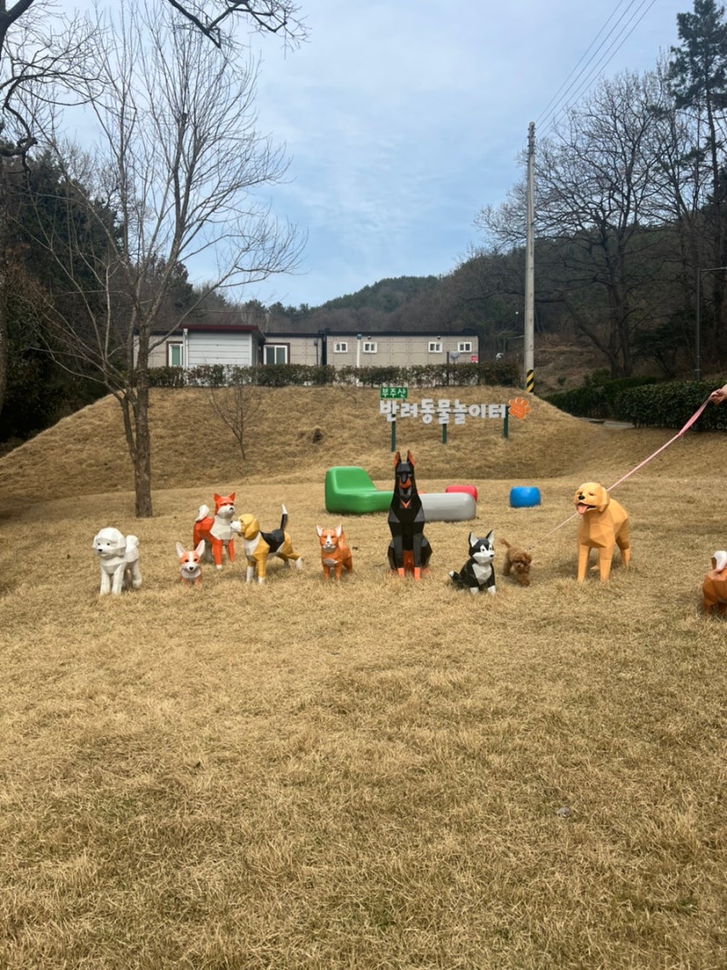 부주산 반려동물놀이터
