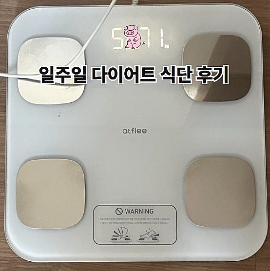  급찐급빠 식단 일주일 다이어트 후기
