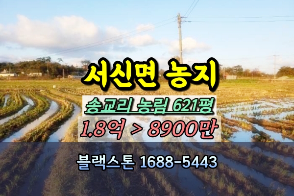  화성시 서신면 토지 경매 농지 500평이상 [2023타경80045]