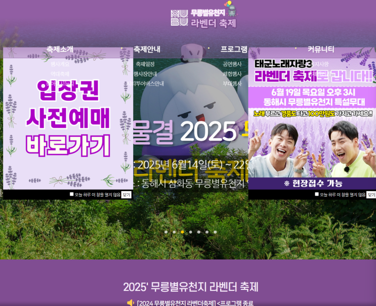  동해 무릉별유천지 라벤더 축제 가격, 기간, 꿀팁까지 | 6월 가볼만한 곳