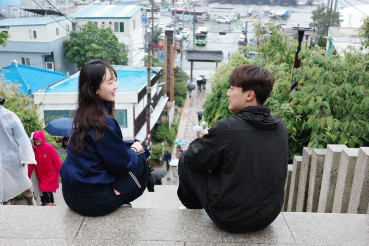  포항 가볼만한곳 구룡포 일본가옥거리 동백꽃필무렵 카페 까멜리아