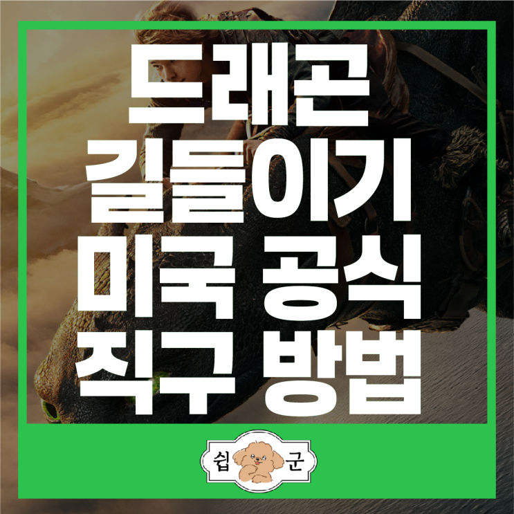  드래곤 길들이기 인형 키링 굿즈 직구 방법 (+유니버셜스튜디오 공식 미국배대지)