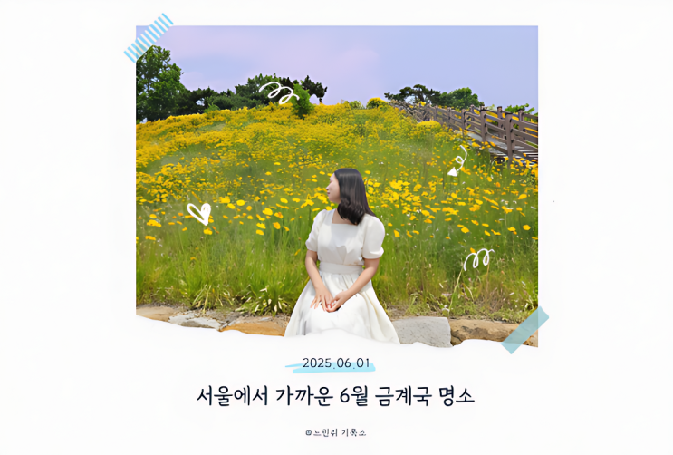  6월 꽃명소 수원 금계국 보러 퉁소바위공원 다녀왔어요