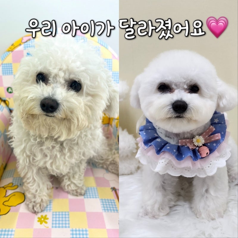사진 2
