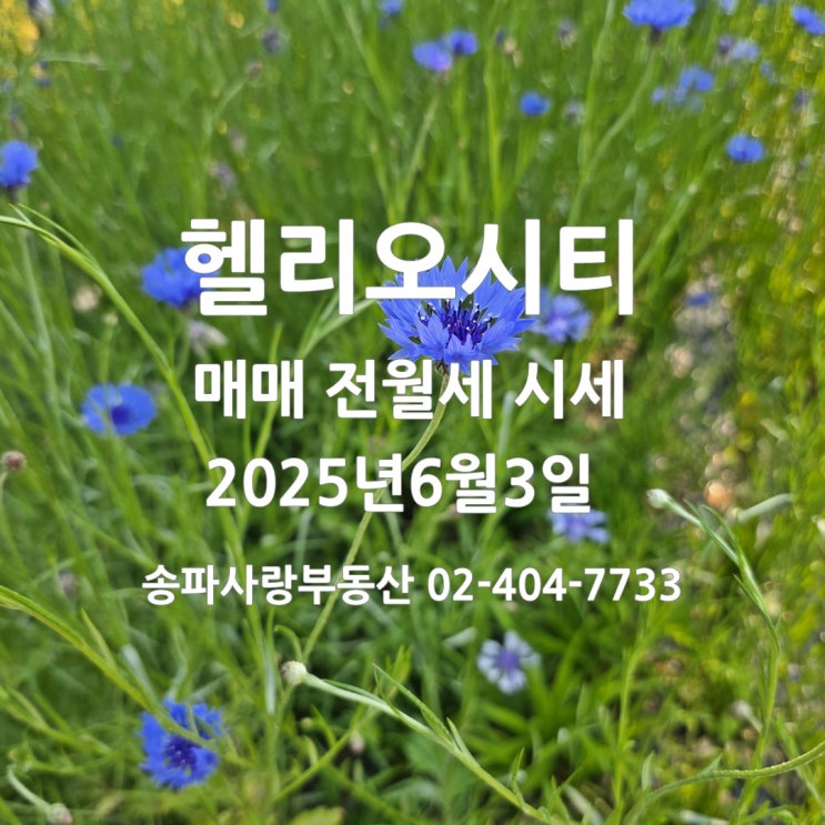  대통령선거일 2025년 6월 3일 헬리오시티 매매 전월세 시세