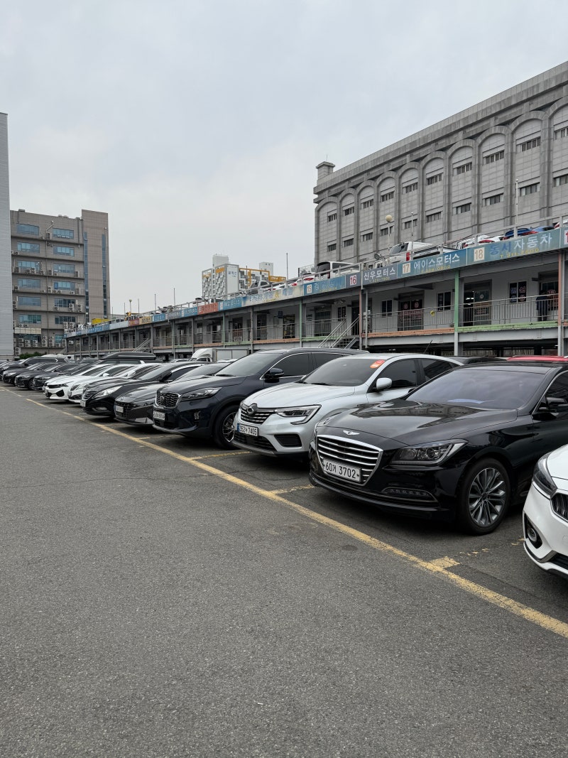 부산사상중고차 부산중고차 판매 직거래 '동서자동차'