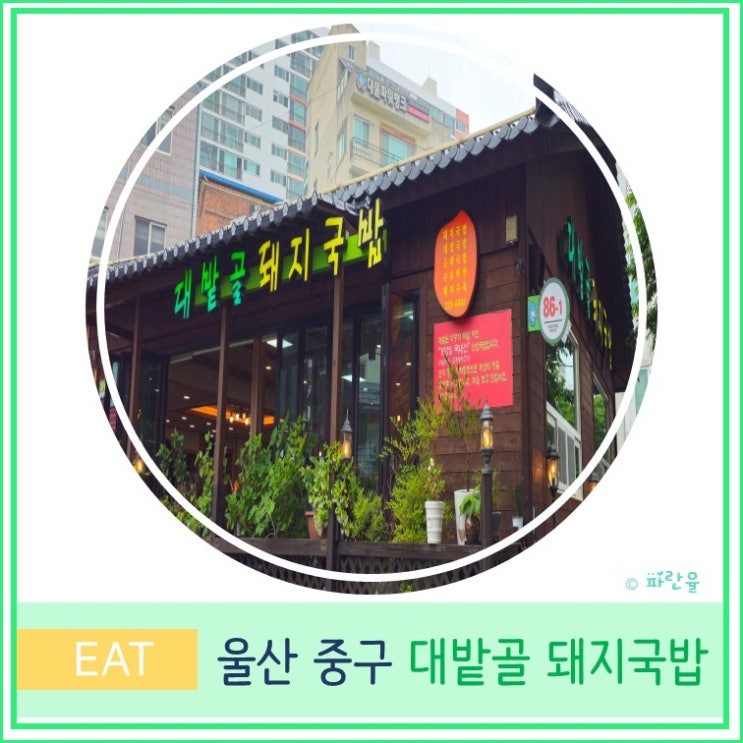  울산 3대 국밥 태화강 국가 정원 현지인 맛집 대밭골 돼지국밥