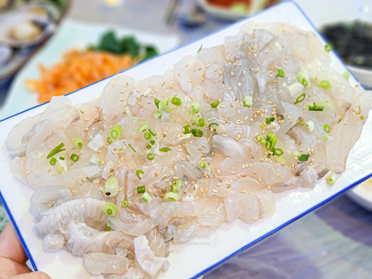  광주 두암동 횟집 싱싱회수산 풍향동 맛집 내돈내산