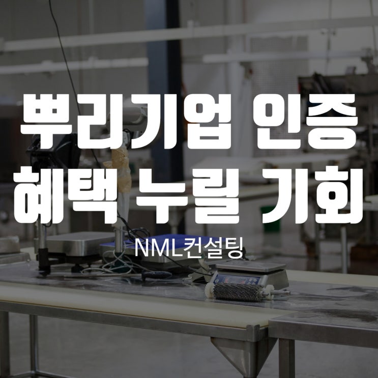  뿌리기업 인증, 제대로 준비하고 확실하게 혜택 누릴 수 있습니다!