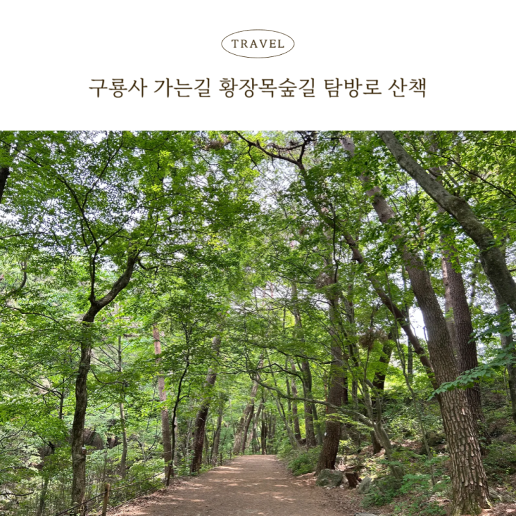 원주 구룡사 황장목숲길, 걷기 좋은 사찰 산책로