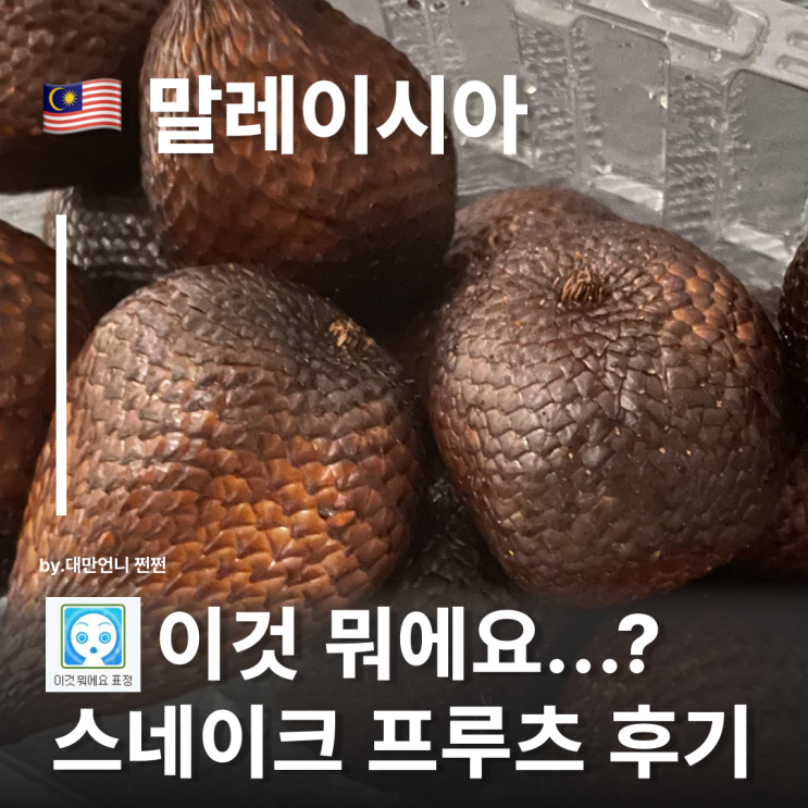  말레이시아 스네이크 프루츠 리얼 후기 살락 salak 동남아 과일 소개