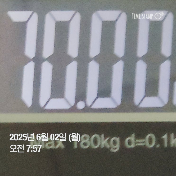  위고비 43일차 후기